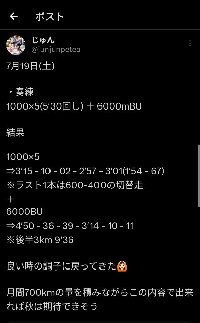 f:id:junjunpetea:20250802083032j:image