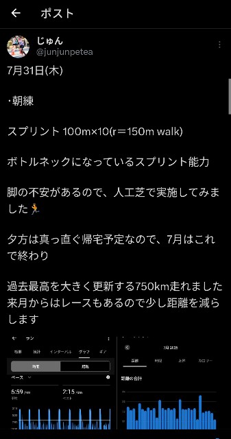 f:id:junjunpetea:20250802083818j:image
