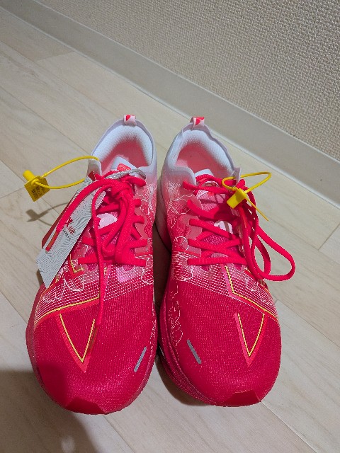 f:id:junjunpetea:20250806081910j:image