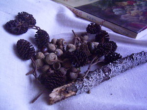 f:id:junk111:20070919092821j:image f:id:junk111:20070919092821j:image