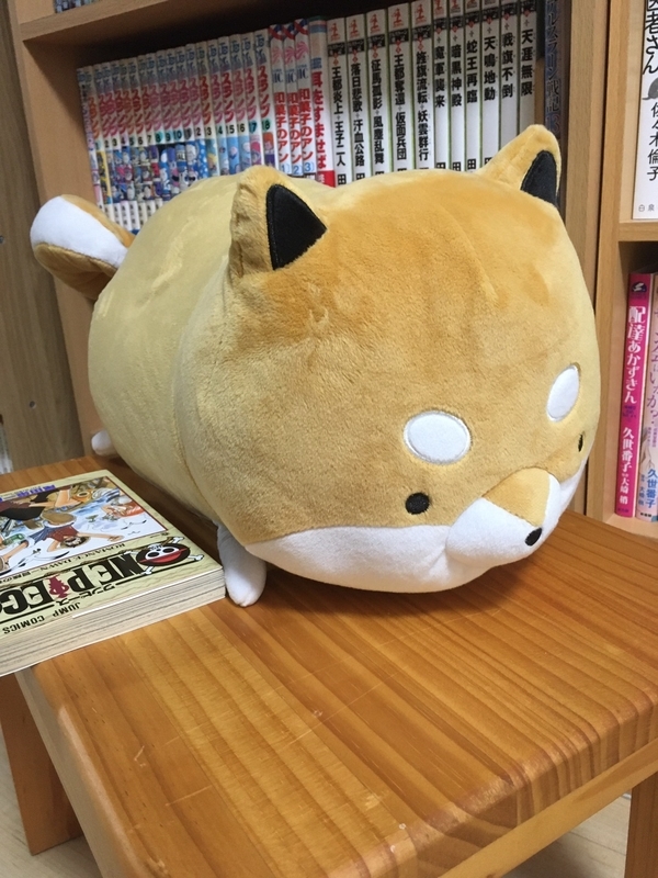 柴犬