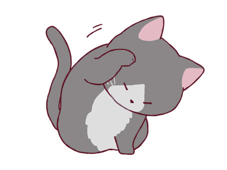 顔を洗う猫