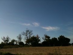 f:id:junk_life:20111027135500j:image