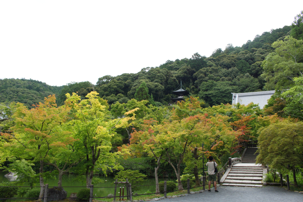 f:id:junko_3830:20180818172526j:plain