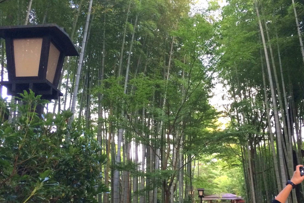 f:id:junko_3830:20181001224113j:plain f:id:junko_3830:20181001224113j:plain