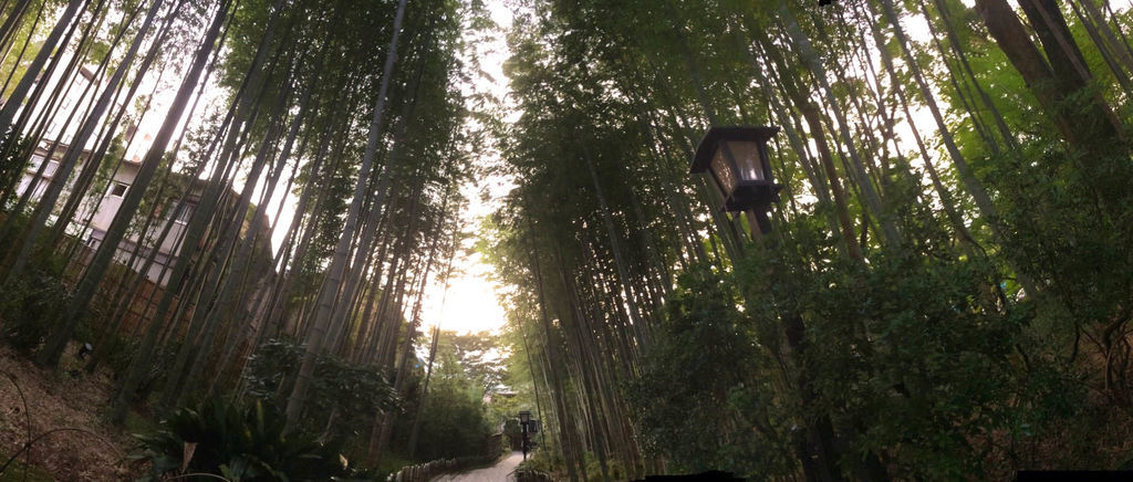 f:id:junko_3830:20181001224146j:plain f:id:junko_3830:20181001224146j:plain