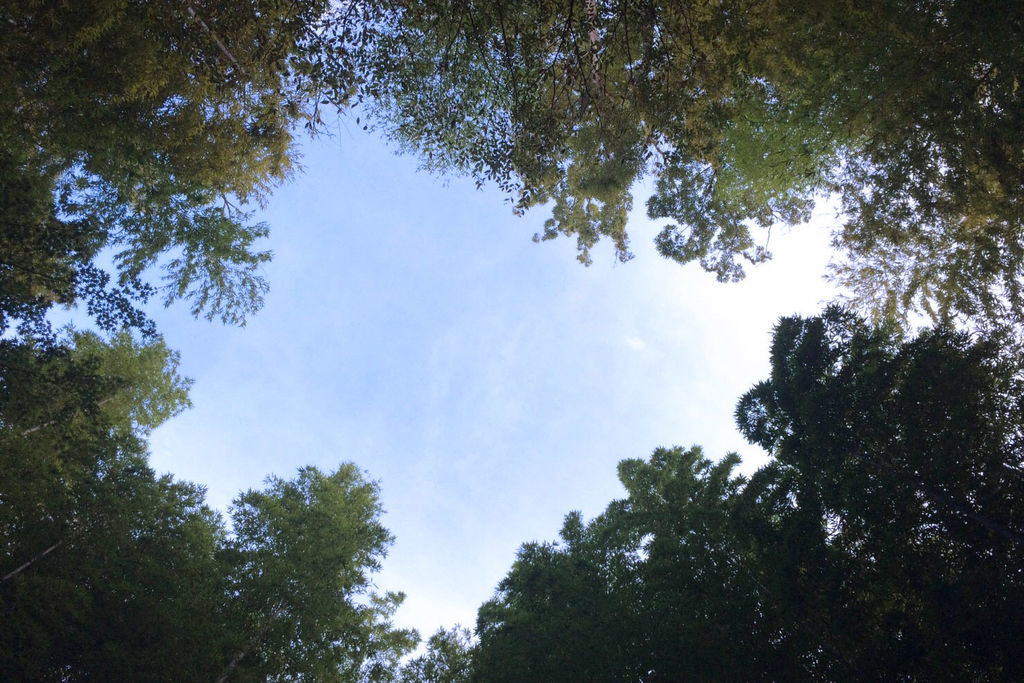 f:id:junko_3830:20181001230541j:plain f:id:junko_3830:20181001230541j:plain