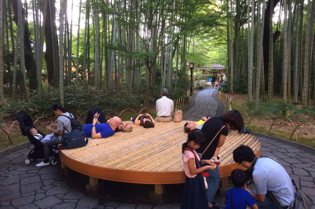 f:id:junko_3830:20181001230637j:plain f:id:junko_3830:20181001230637j:plain