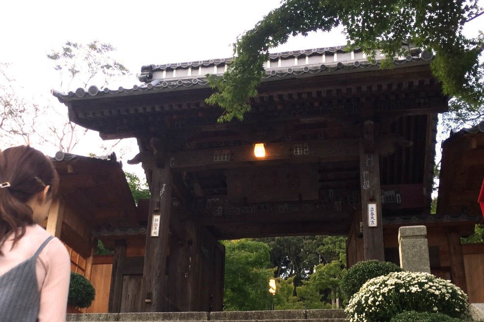 f:id:junko_3830:20181001230706j:plain f:id:junko_3830:20181001230706j:plain