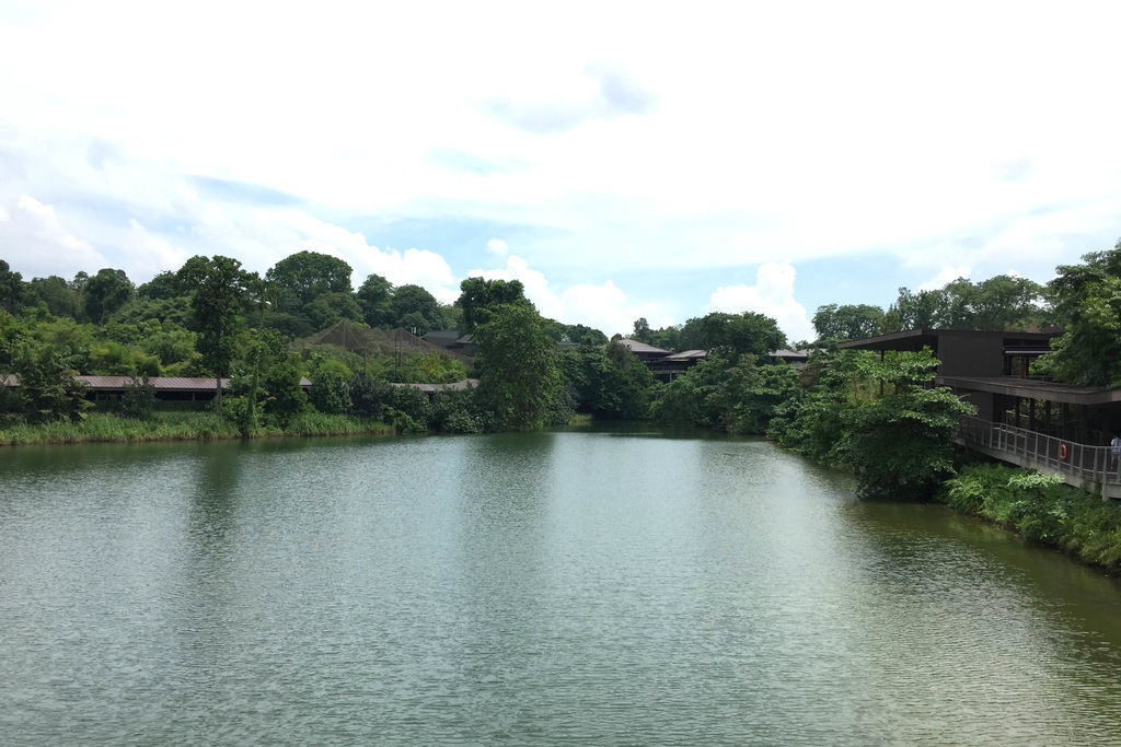 f:id:junko_3830:20181025235830j:plain