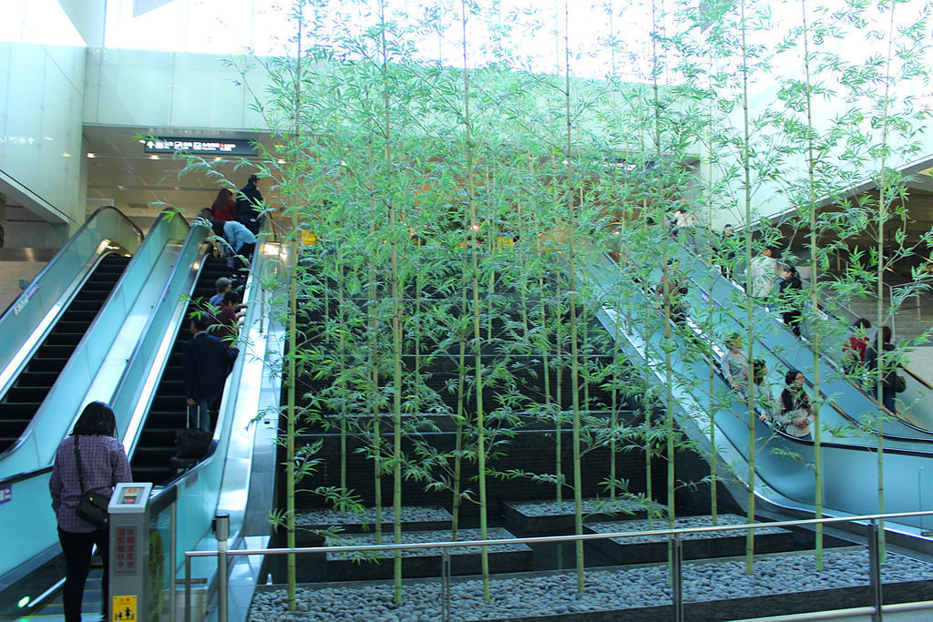 f:id:junko_3830:20181221113321j:plain