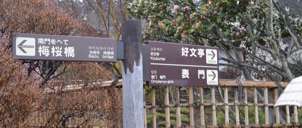 f:id:junko_3830:20190131102928j:plain