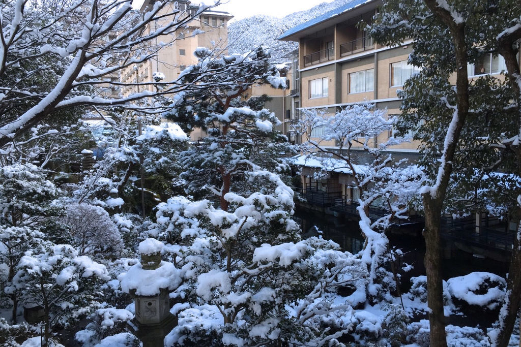 f:id:junko_3830:20190204235806j:plain