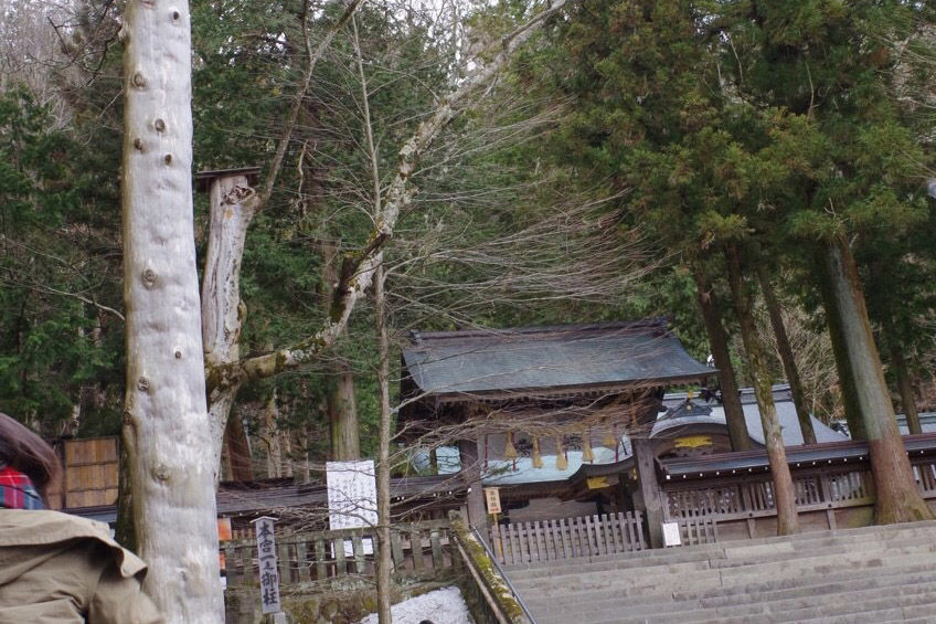 f:id:junko_3830:20190204235829j:plain