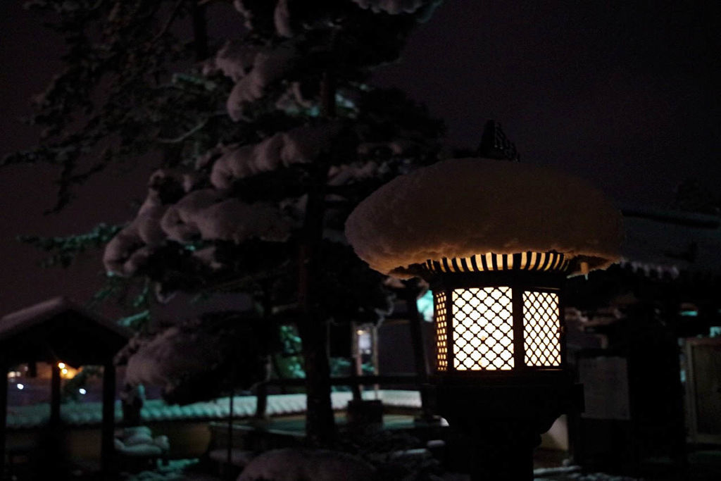 f:id:junko_3830:20190206114810j:plain