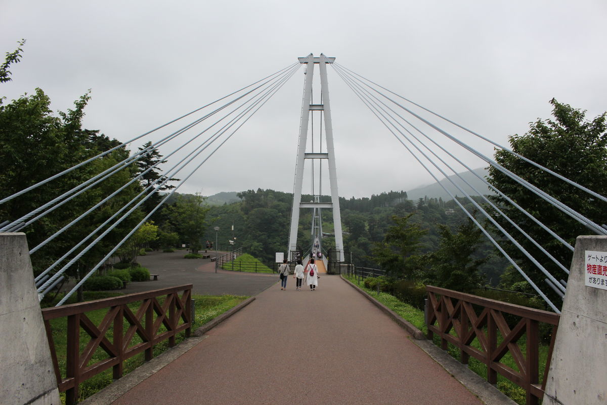 f:id:junko_3830:20200329202339j:plain