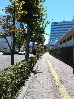 f:id:junko_ha:20180820111857j:image