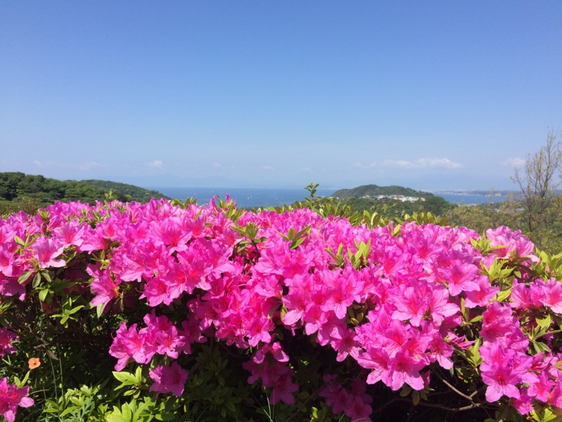 f:id:junko_k:20160430094434j:image:w360