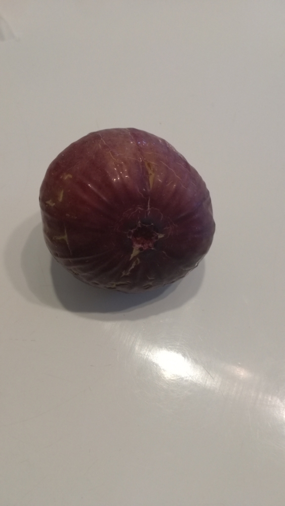 f:id:junkokakehashi:20180802135419j:plain f:id:junkokakehashi:20180802135419j:plain