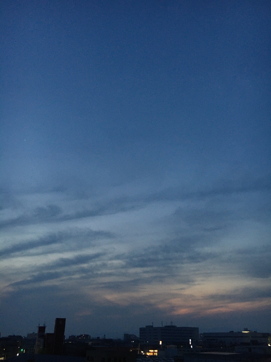 f:id:junkoutautau:20200502201130j:plain