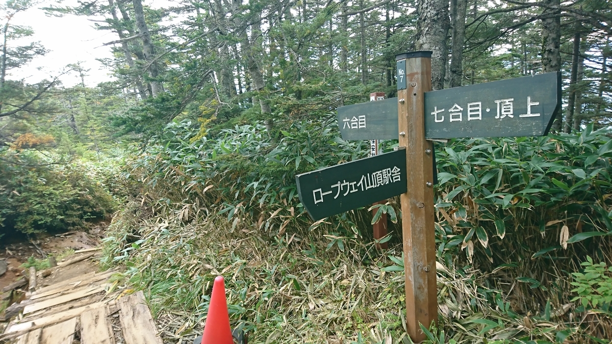 f:id:junmsym3118:20190916074121j:plain