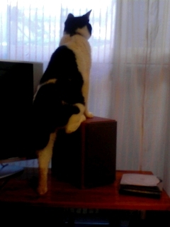 f:id:junmusic:20130115114206j:plain