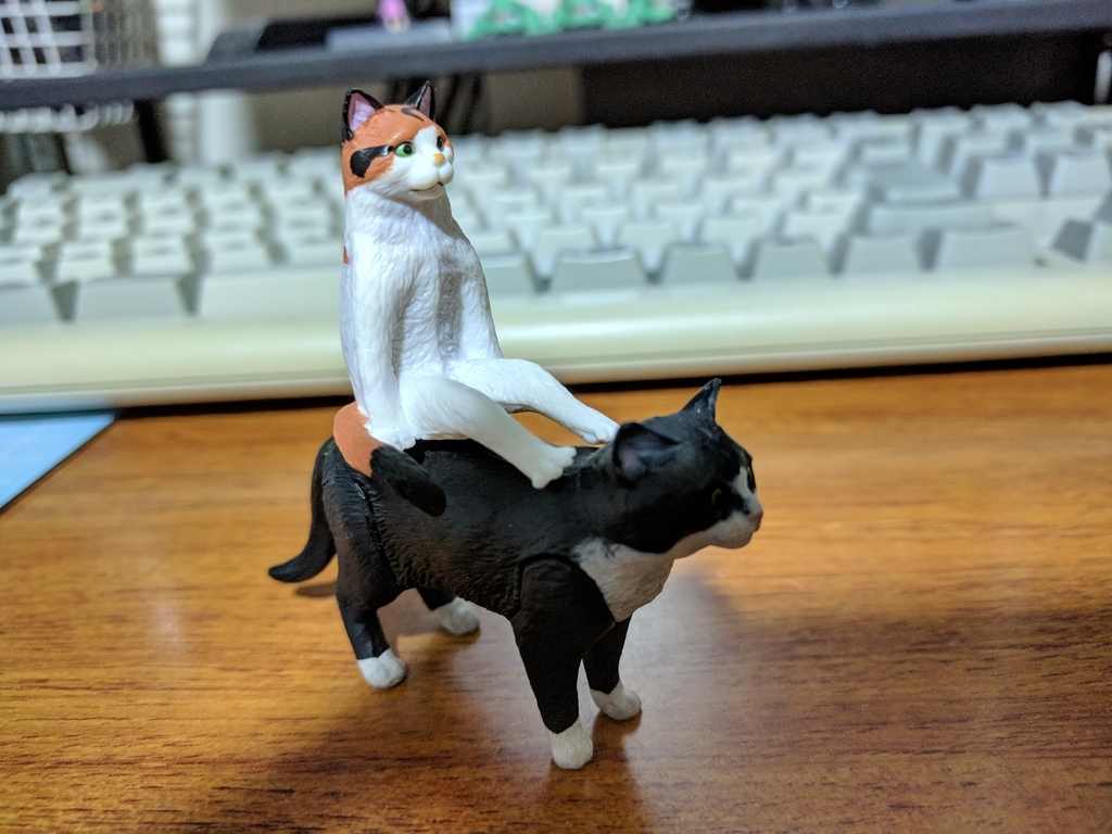 f:id:junnishikaw:20181006222142j:plain