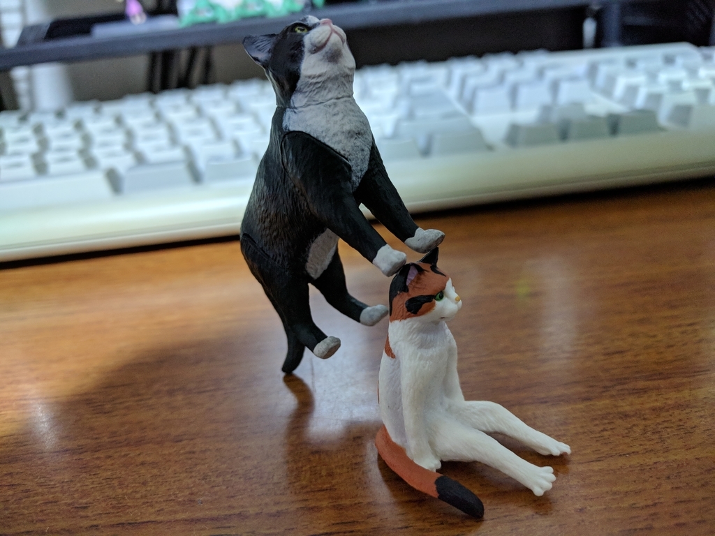 f:id:junnishikaw:20181006222203j:plain