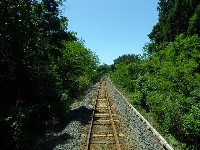 f:id:junny-policies:20180409230324j:plain