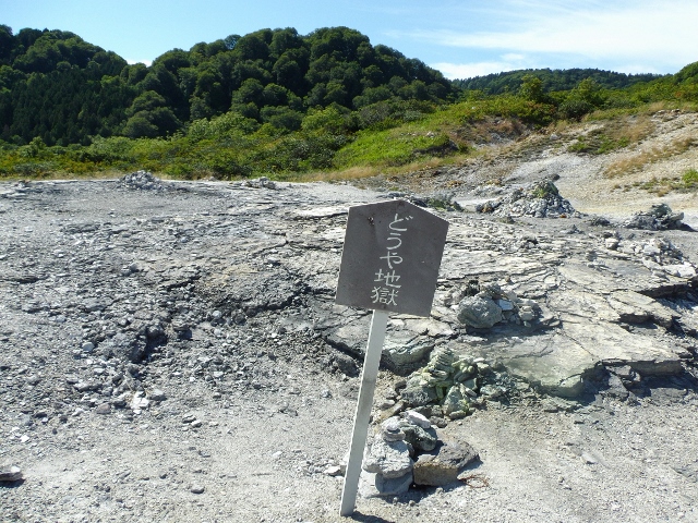 f:id:junny-policies:20180409233200j:plain