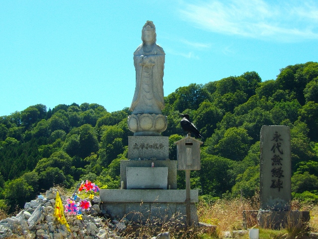 f:id:junny-policies:20180409233953j:plain