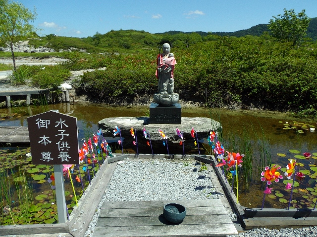 f:id:junny-policies:20180409234118j:plain