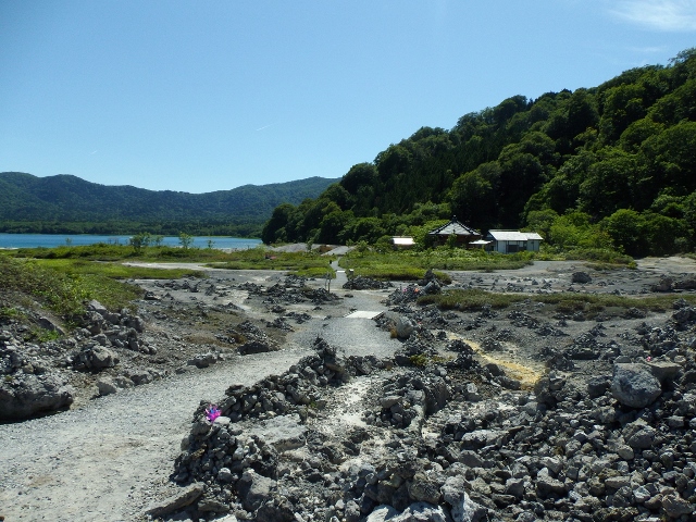 f:id:junny-policies:20180409235532j:plain