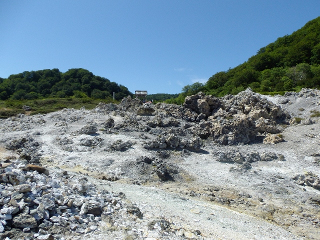 f:id:junny-policies:20180409235535j:plain