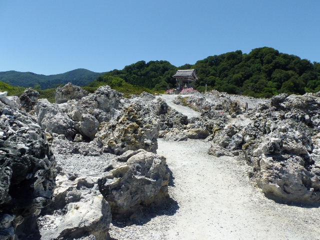 f:id:junny-policies:20180409235539j:plain