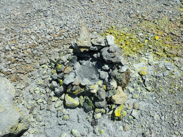 f:id:junny-policies:20180410000059j:plain