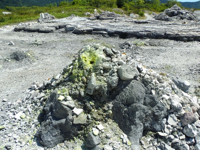 f:id:junny-policies:20180410000138j:plain