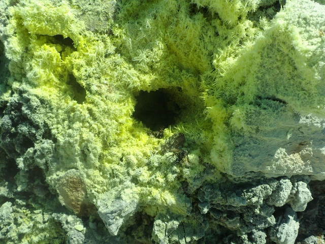 f:id:junny-policies:20180410000307j:plain