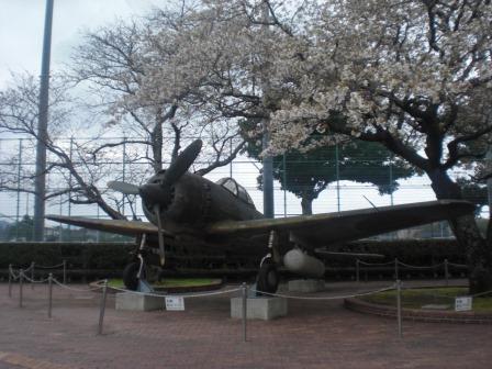 f:id:junny-policies:20180426000658j:plain