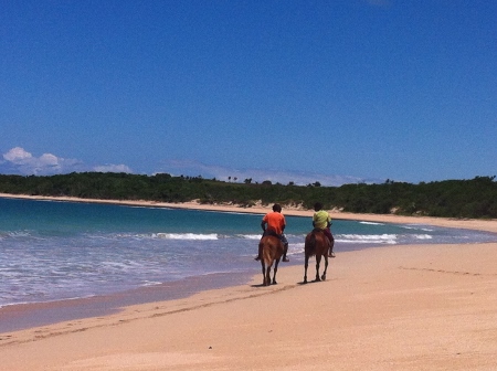 f:id:junny-policies:20180509235751j:plain