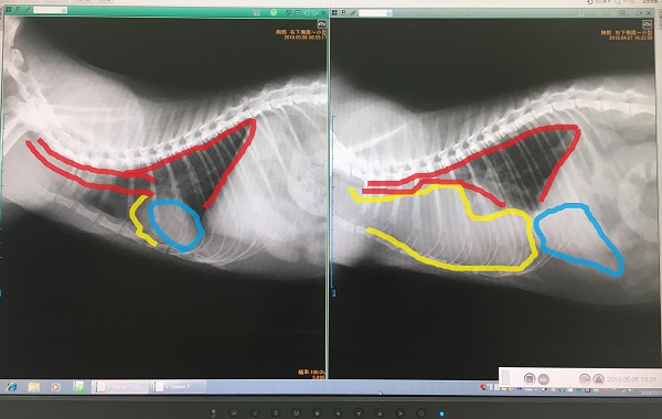 f:id:junny-policies:20180529232406j:plain