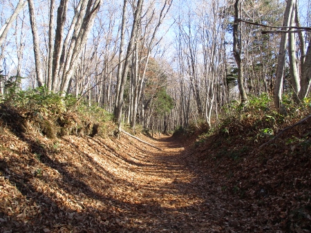 f:id:junny-policies:20181127003921j:plain f:id:junny-policies:20181127003921j:plain