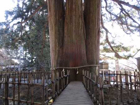 f:id:junny-policies:20181127004042j:plain f:id:junny-policies:20181127004042j:plain