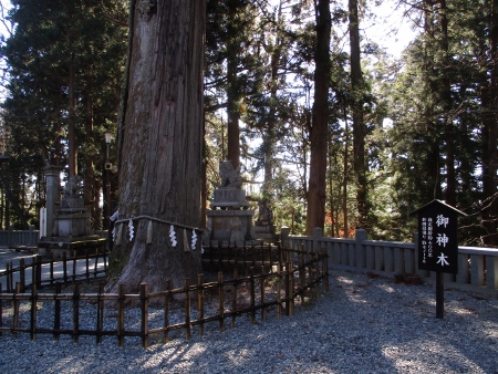 f:id:junny-policies:20181127004113j:plain f:id:junny-policies:20181127004113j:plain