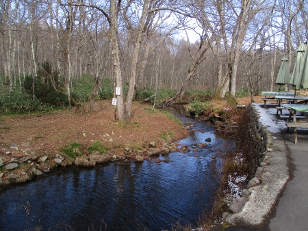 f:id:junny-policies:20181127004414j:plain f:id:junny-policies:20181127004414j:plain