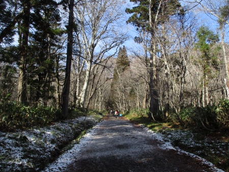 f:id:junny-policies:20181127004430j:plain f:id:junny-policies:20181127004430j:plain