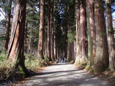 f:id:junny-policies:20181127004454j:plain f:id:junny-policies:20181127004454j:plain