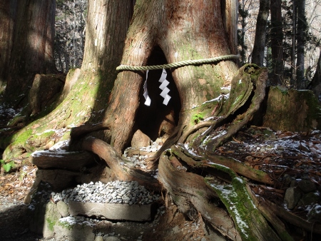 f:id:junny-policies:20181127004503j:plain f:id:junny-policies:20181127004503j:plain