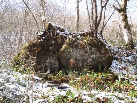 f:id:junny-policies:20181127004530j:plain f:id:junny-policies:20181127004530j:plain