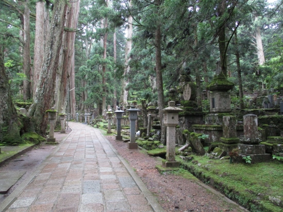 f:id:junny-policies:20190119214604j:plain